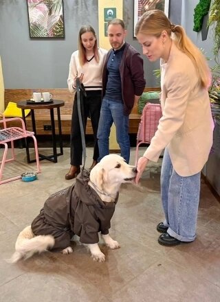    У питомцев часто есть главный хозяин, когда он уезжает надолго, собака начинает страдать. Фото: Из личного архивa/ Зоопсихолог и кинолог Мария Пакулева