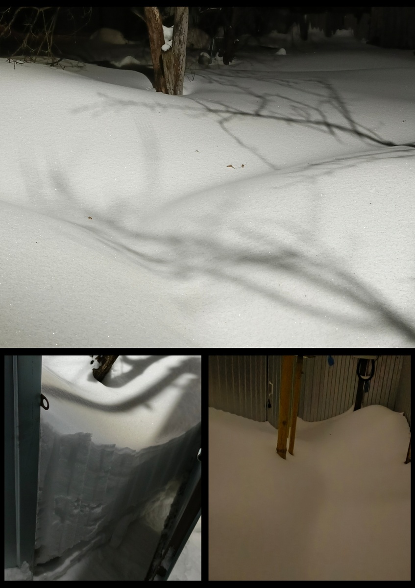 На расчистку дорожек до домика и до компоста я потратила три дня.