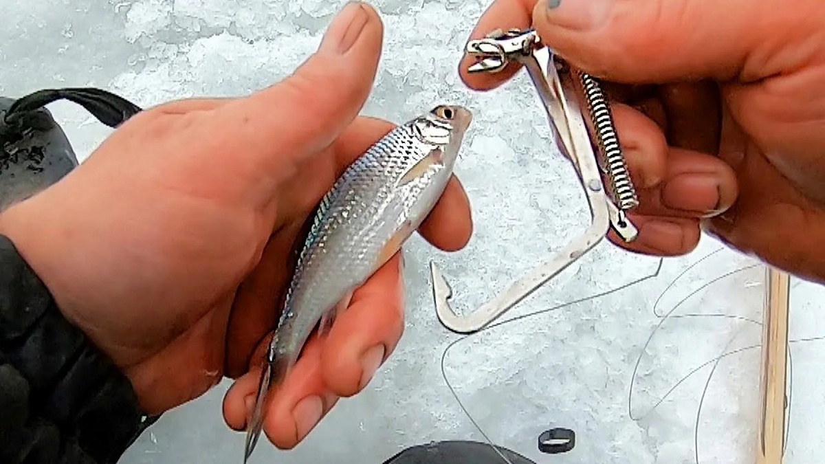 Ловля щуки на живца зимой