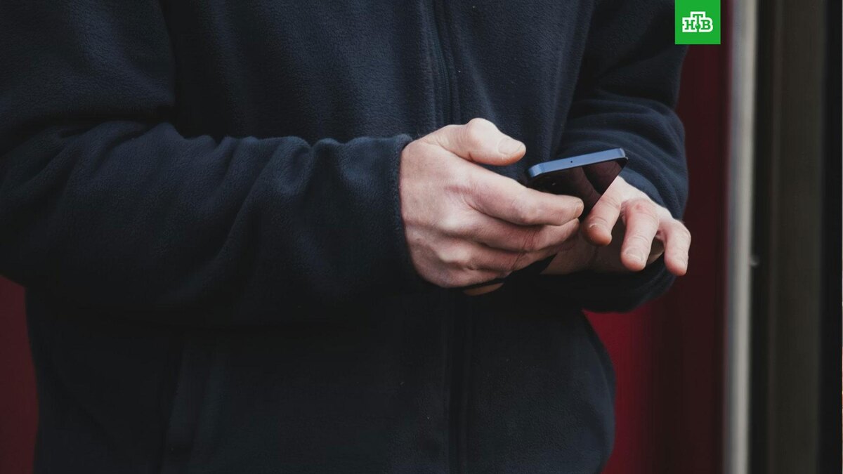    Фото: atelierbyvineeth / unsplash.com