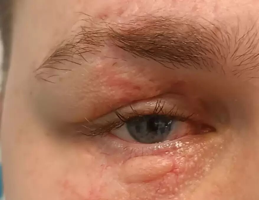    Источник фото: "Новости Артема + Приморье"