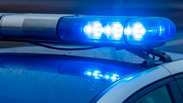    ДПС мигалка (ИИ)