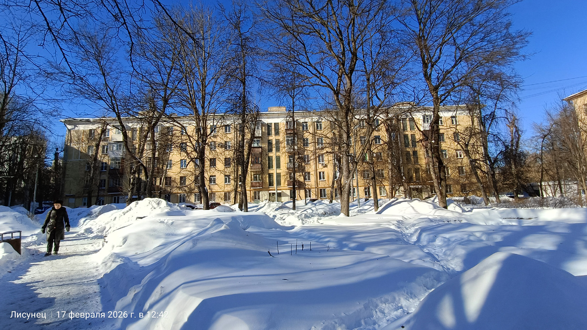 Фото автора.