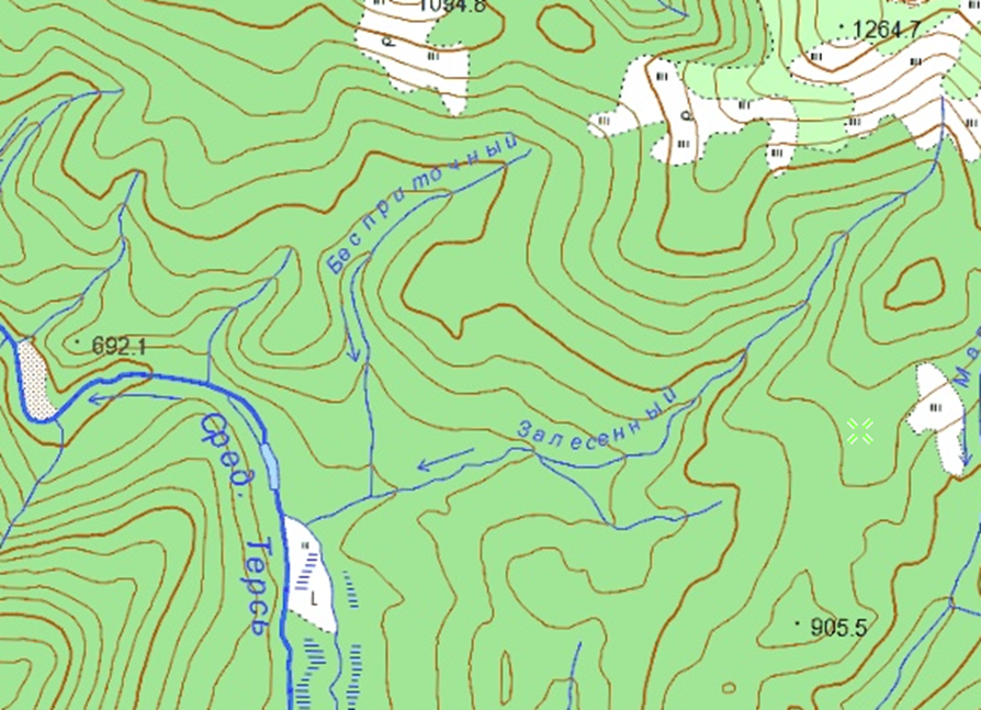 Ручей Бесприточный. Фрагмент карты, 2001г.