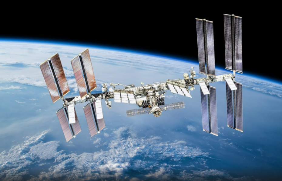    Shutterstock|FOTODOM