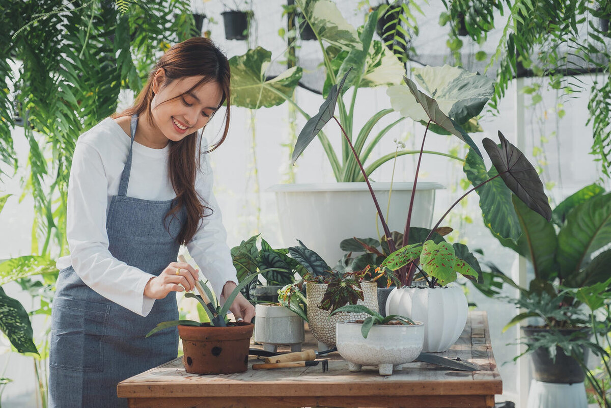     123RF/legion-media.ru