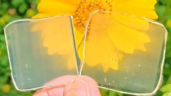    Японское 'прозрачное дерево' произвело революцию, заменив ПВХ и открыв путь к целлюлозным аквариумам к 2032 году.