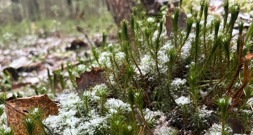    Фото из архива редакции