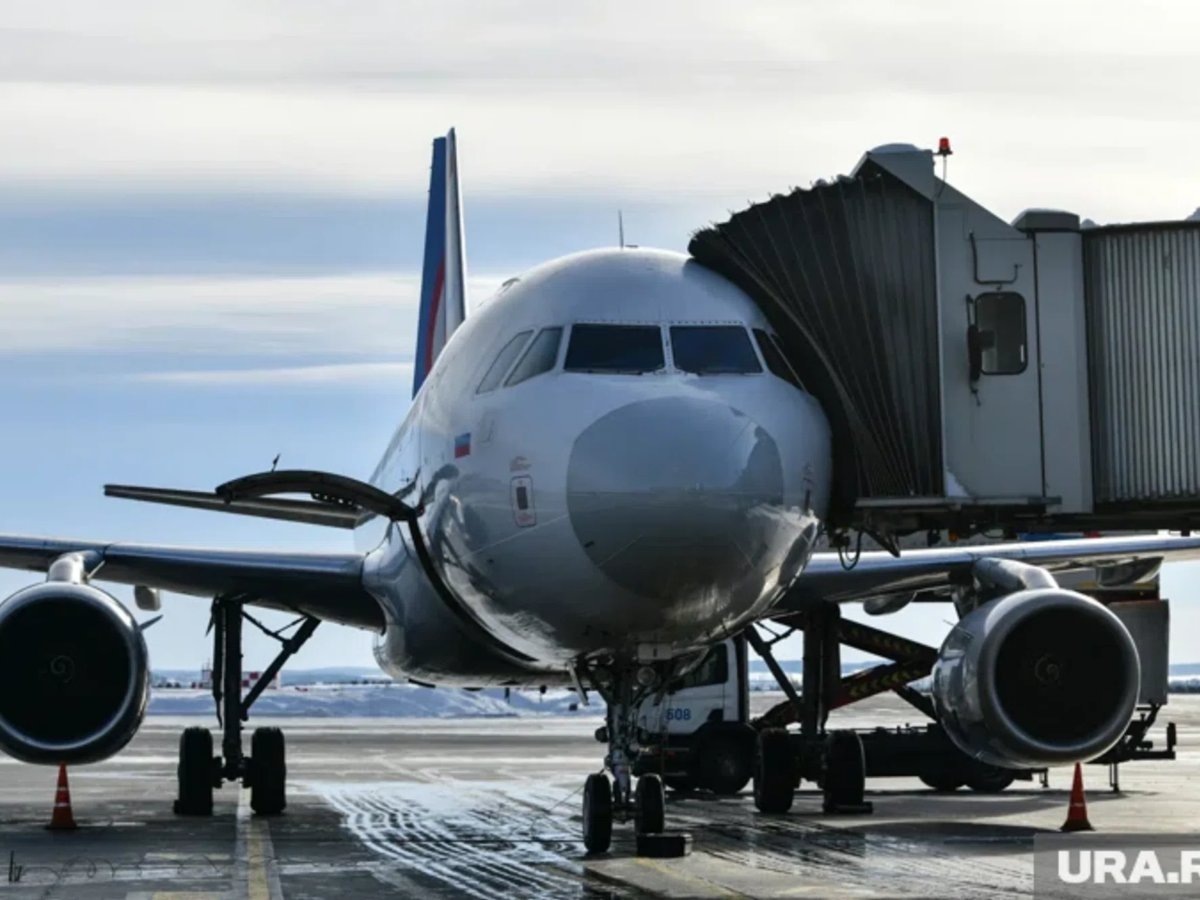     В аэропортах России сообщают о массовых задержках рейсов