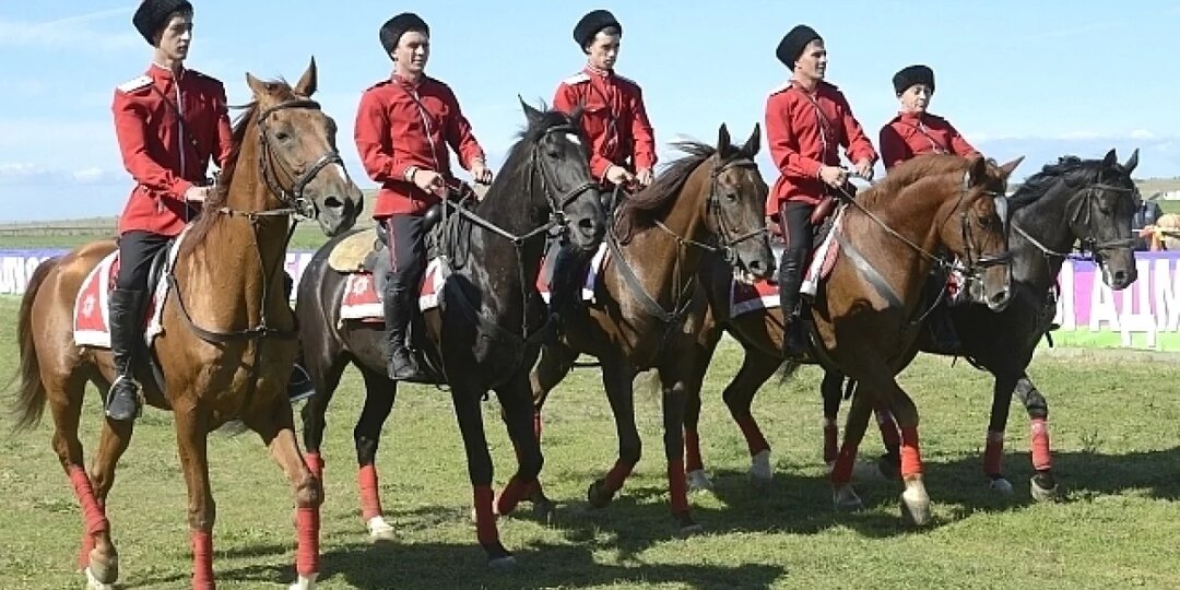 Земля общая, конь личный. На чем держалась экономика казачества до революции