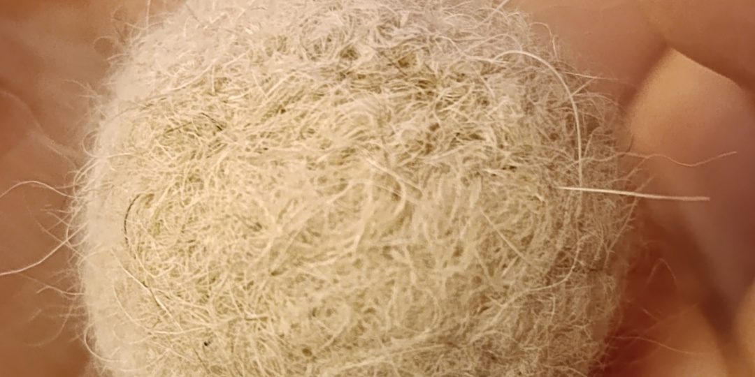 Хаски преееевращается!