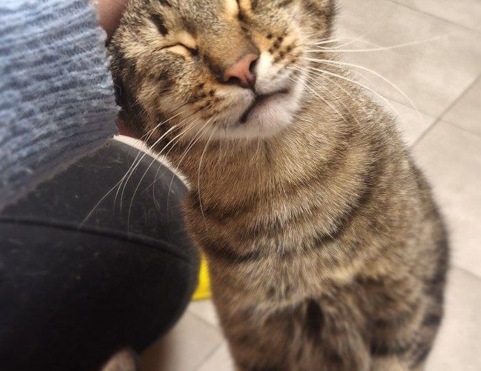 Мы в беде. Аренда не оплачена...