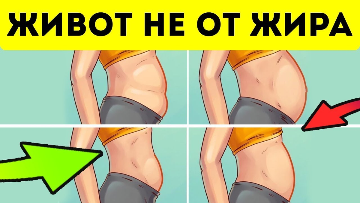 Почему живот не уходит на диете?
