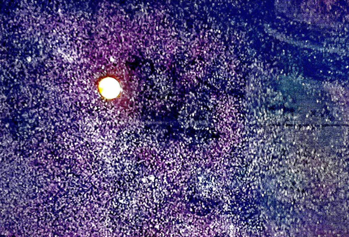 Фото автора.