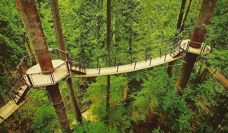 Путешествие над пропастью в сердце природы. Подвесной мост Капилано