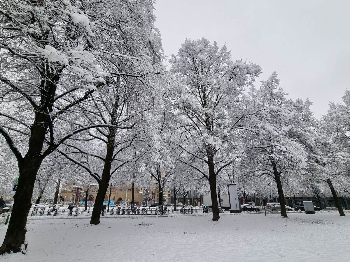 Мюнхен,  20.02.2026