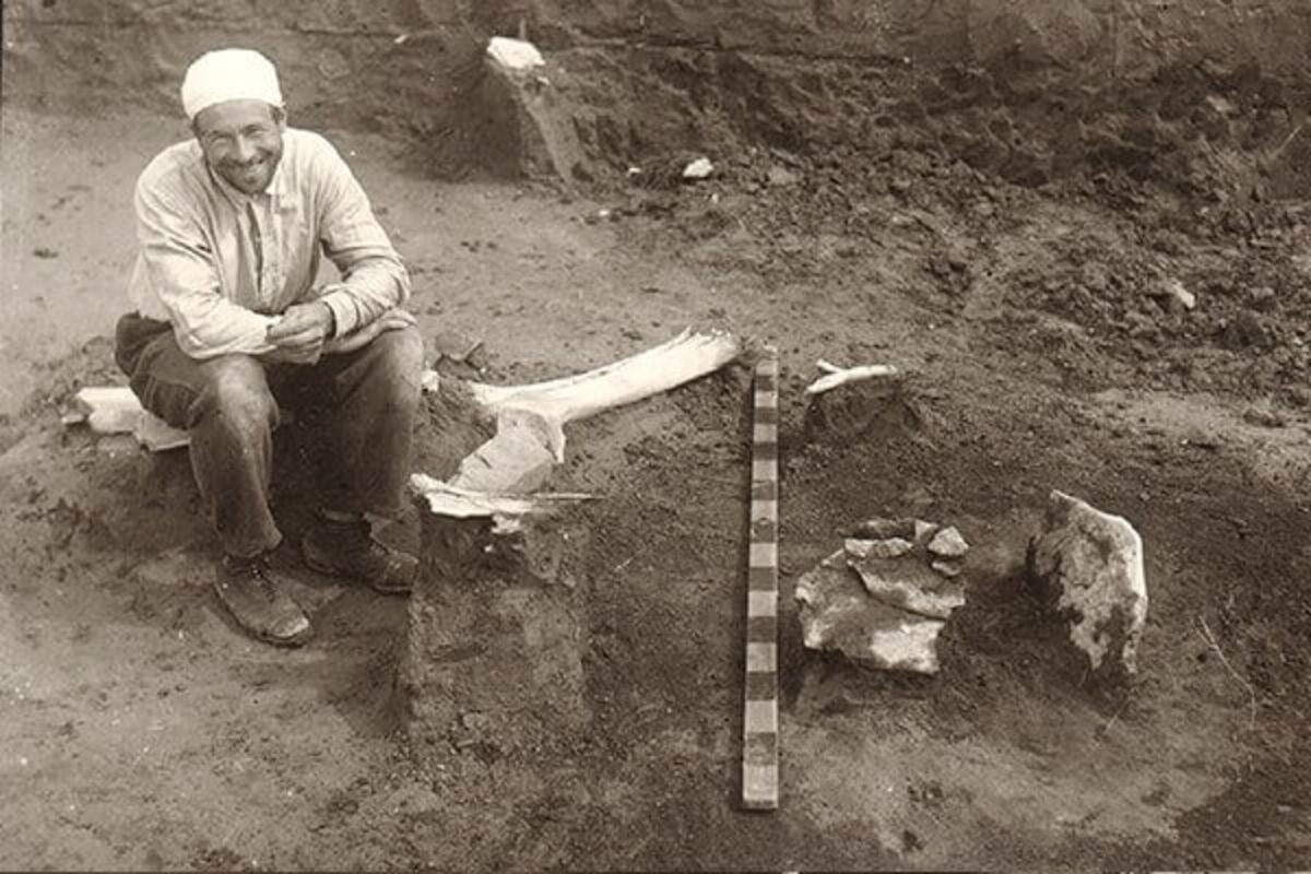 Мальтийский мальчик из Иркутской области, живший 24 тысячи лет назад, стал ключом к заселению Америки