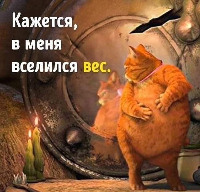 картинка из открытого доступа, поостереглась я размешать корпулентных скачущих тёток )))