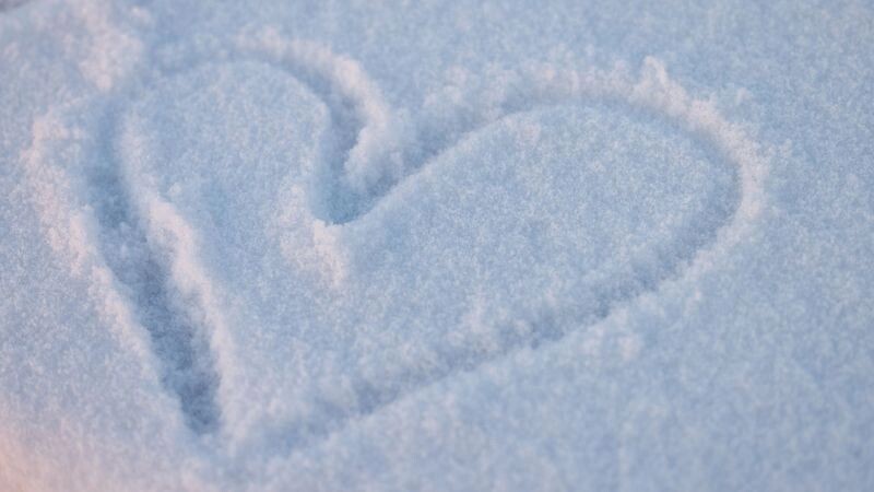    Фото: Федор Воронов / «Ямал-Медиа»