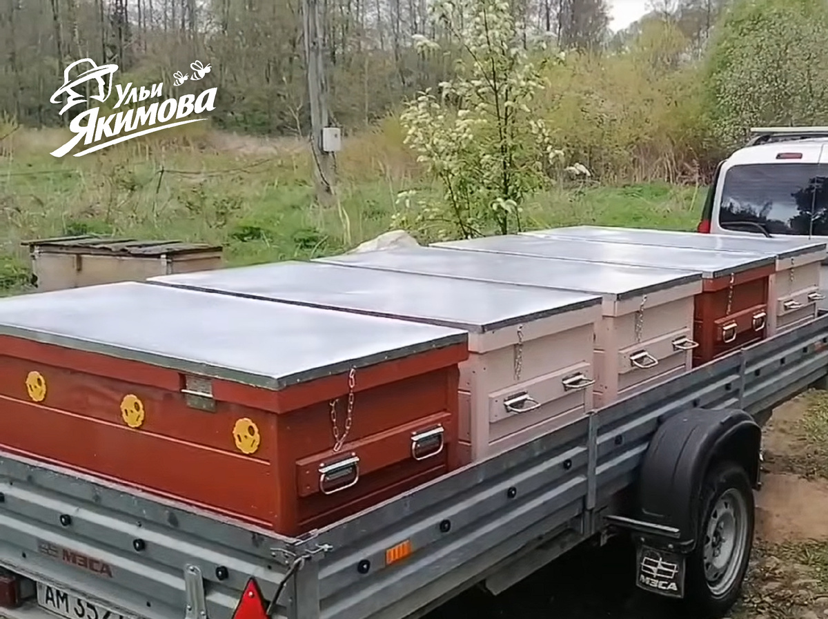 Ульи-лежаки Якимова