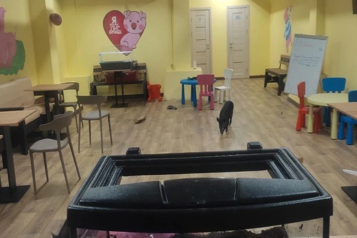    Фото: Управление Россельхознадзора по Тверской и Ярославской областям