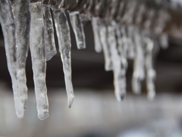     Фото: архив МК в Питере.