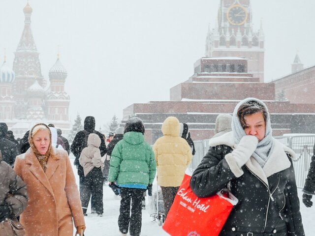    Фото: Москва 24/Никита Симонов