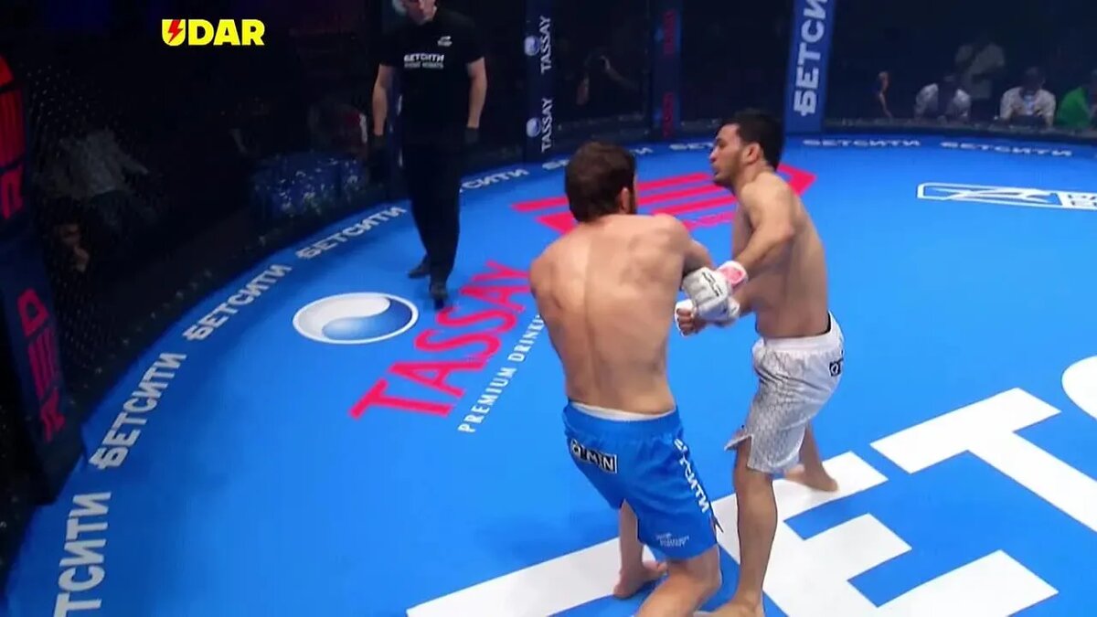    Цветокоррекция оригинального изображения была произведена с использованием ИИ "Ниязов 2.0"