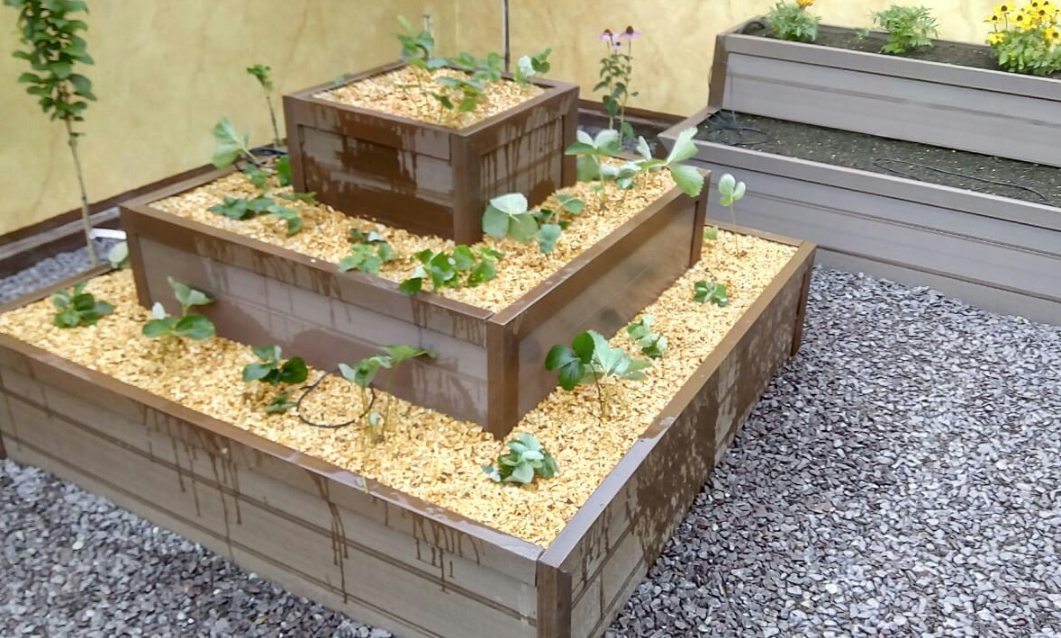 Грядка для клубники. Фото собственных работ из личного архива. 