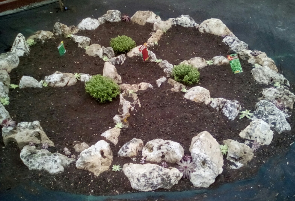 Грядка для зелени. Фото собственных работ из личного архива. 