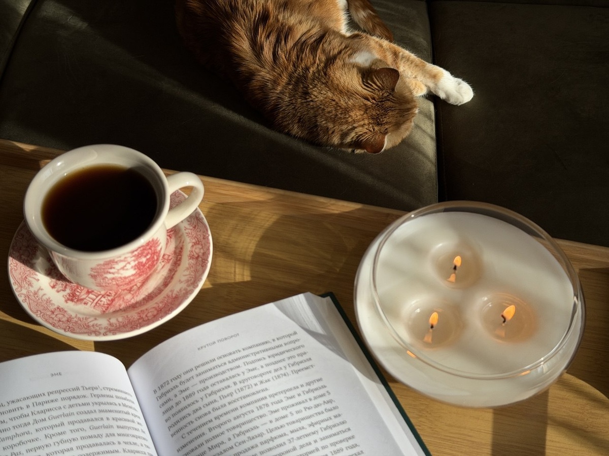 Чашечка, книга и котя — все, что я люблю)