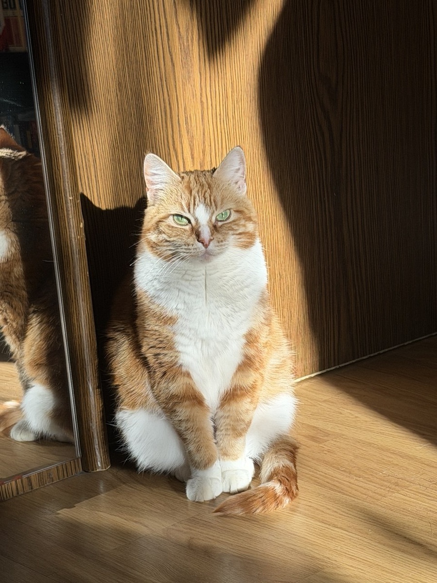 Строгая, вся в маму❤