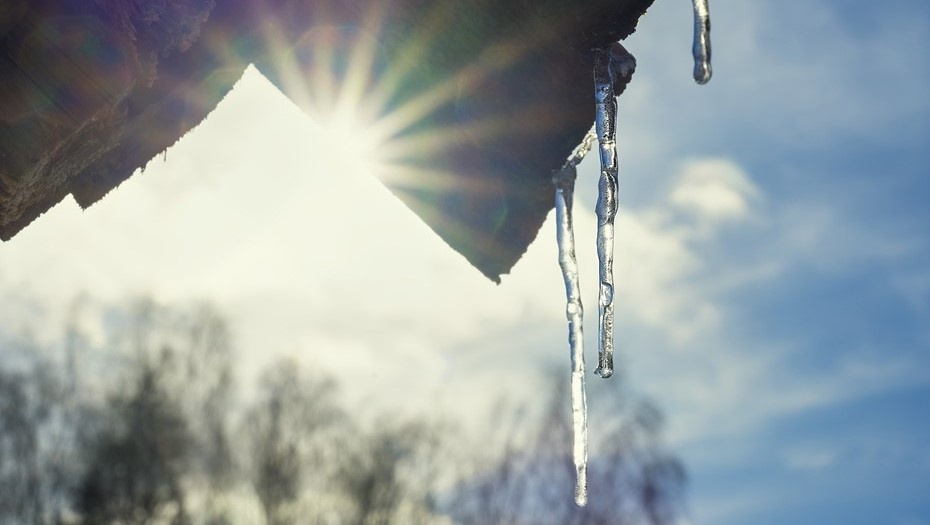    Автор фото: Bonsales/Shutterstock/FOTODOM