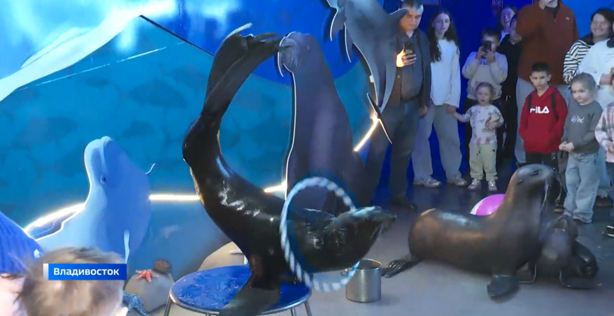    Источник фото: