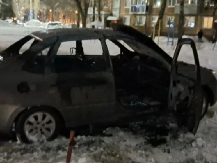     фото: пресс-служба мчс по брянской области