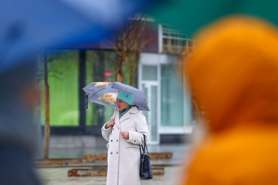    Артём Соболев/NEWS.ru