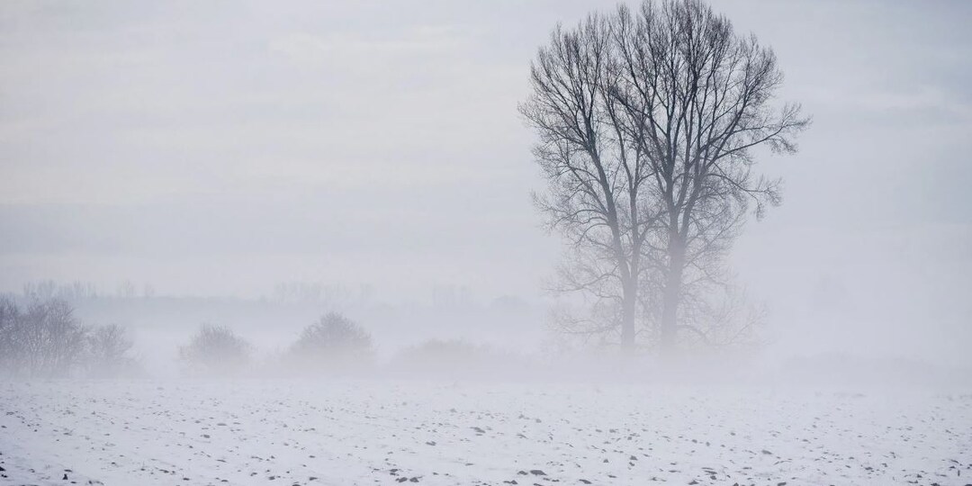 Обещание, которое нельзя исполнить