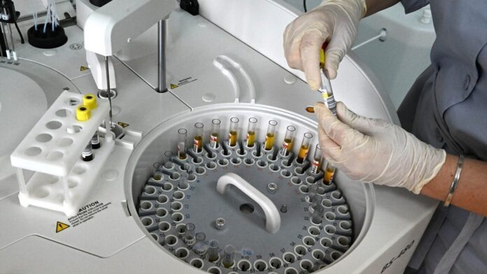    2026 год: 'Невозможная' молекула, представленная в виде кремниевого сердца, стала катализатором фундаментальных изменений в физике и вызвала обрушение рынка традиционных полупроводников.