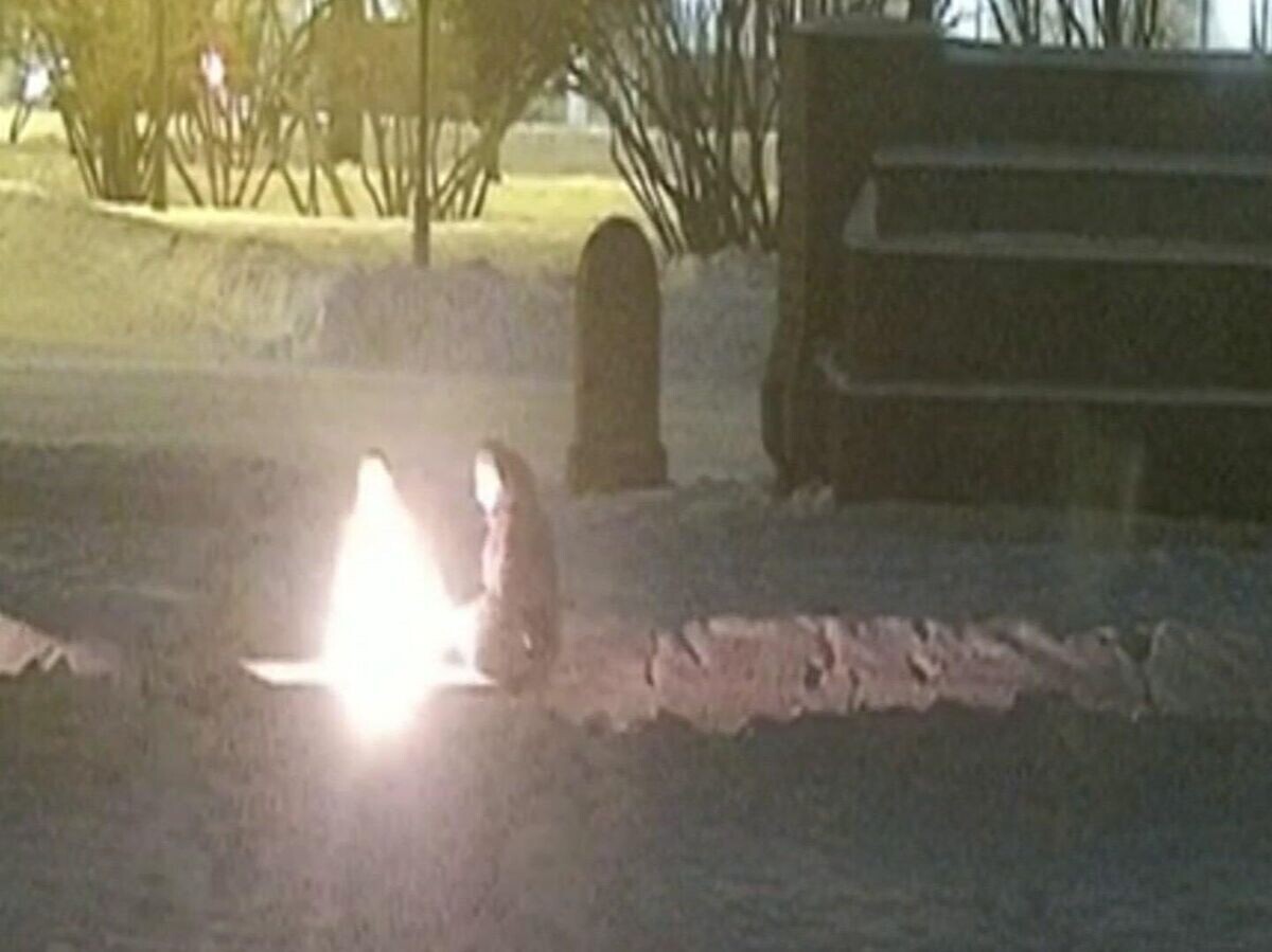    Петербуржец потушил Вечный огонь на Марсовом поле | © МВД РФ