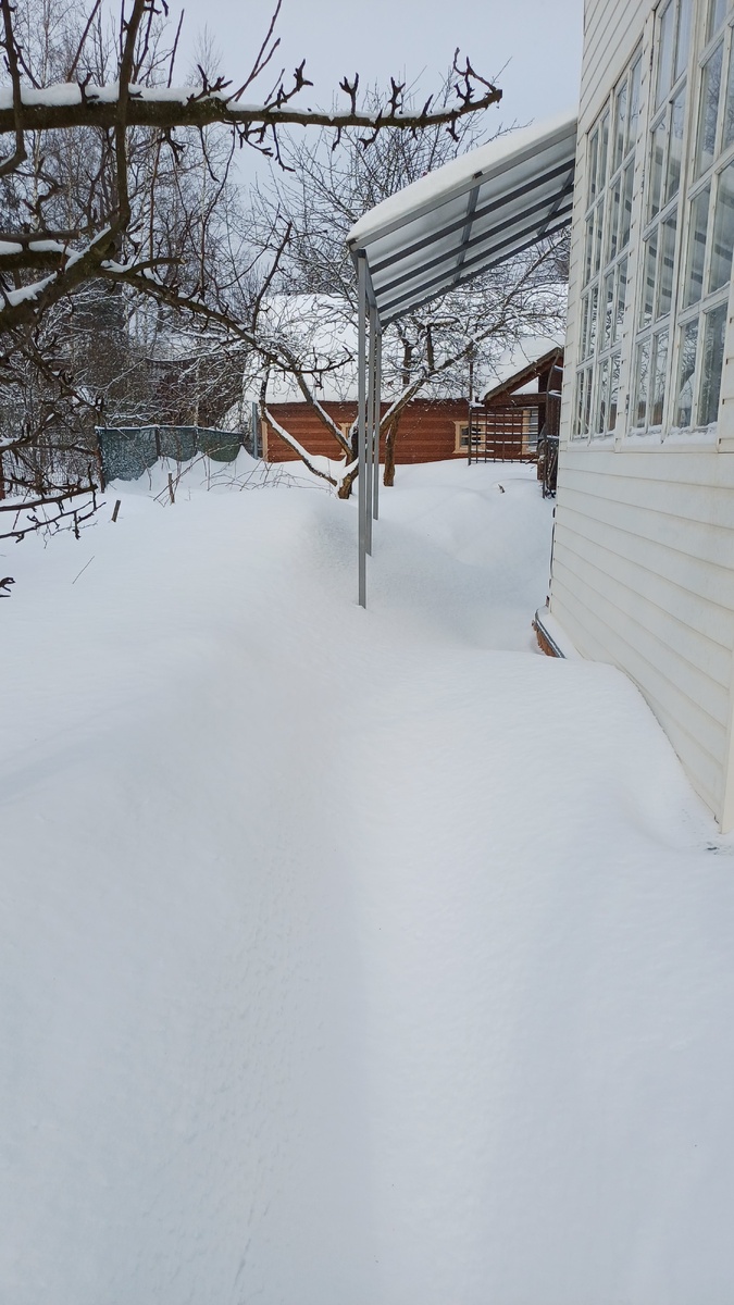 замело 20 фвраля.