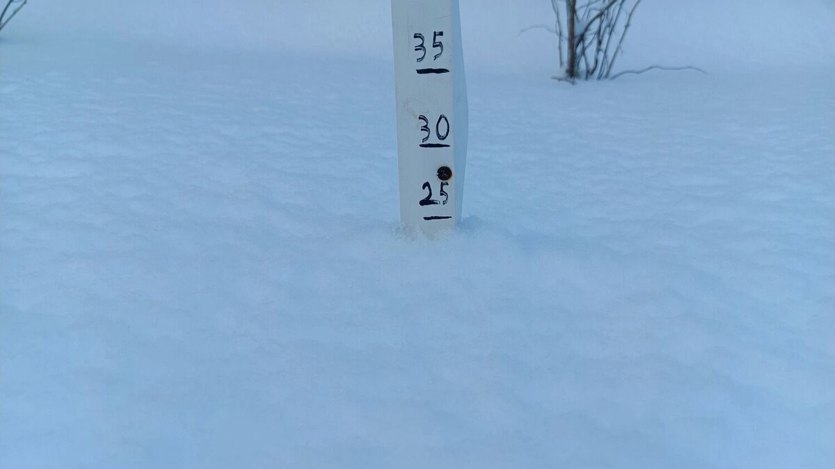    Высота снежного покрова после обильного снегопада доходит 25 см   MeteoVolgograd_34