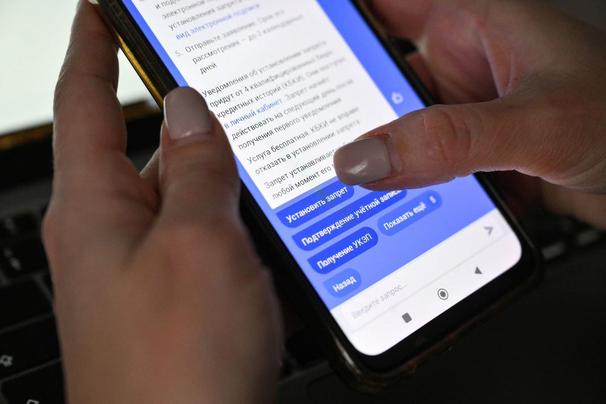    Госуслуги приложение смартфон телефон самозапрет на кредит РИА