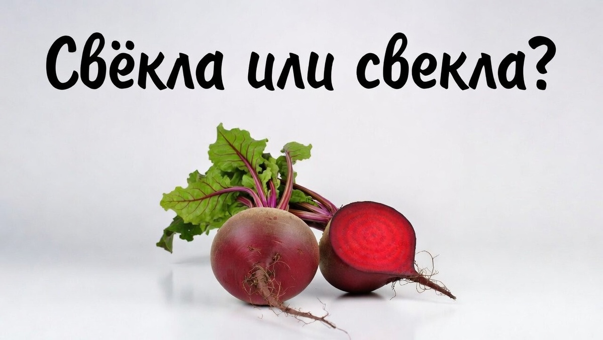 Сможете ответить правильно? :)