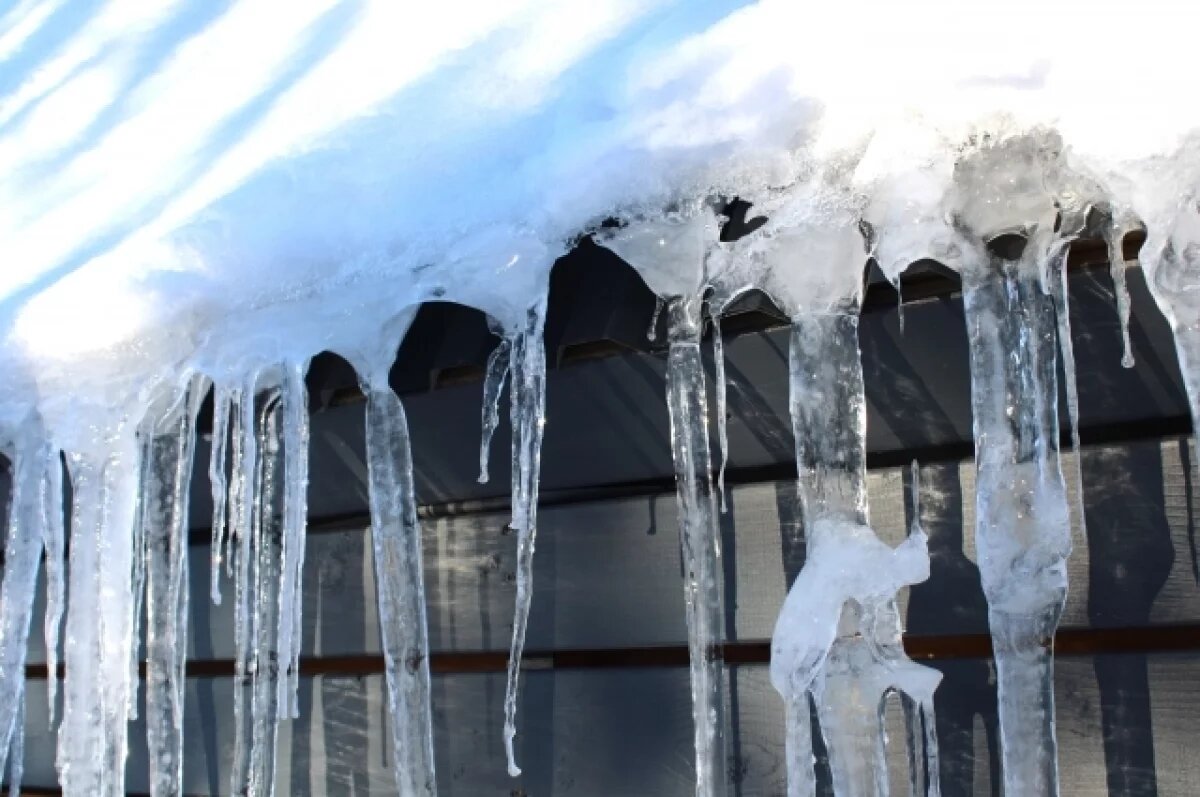    В Петербург придет февральская оттепель