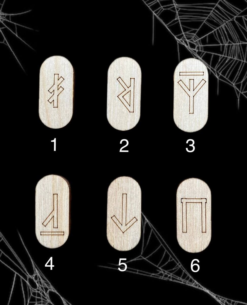 Личное фото автора 