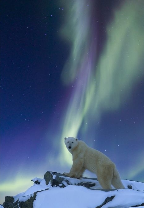 Природное чудо