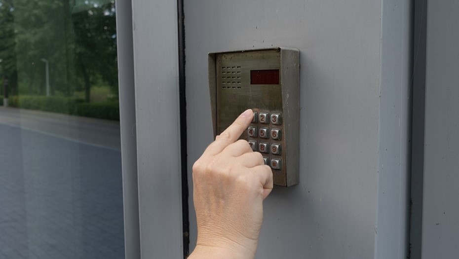    Автор фото: Artem Stepanov/Shutterstock/FOTODOM