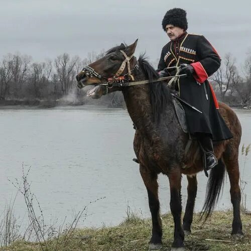Взято из открытых источников интернета Яндекс.