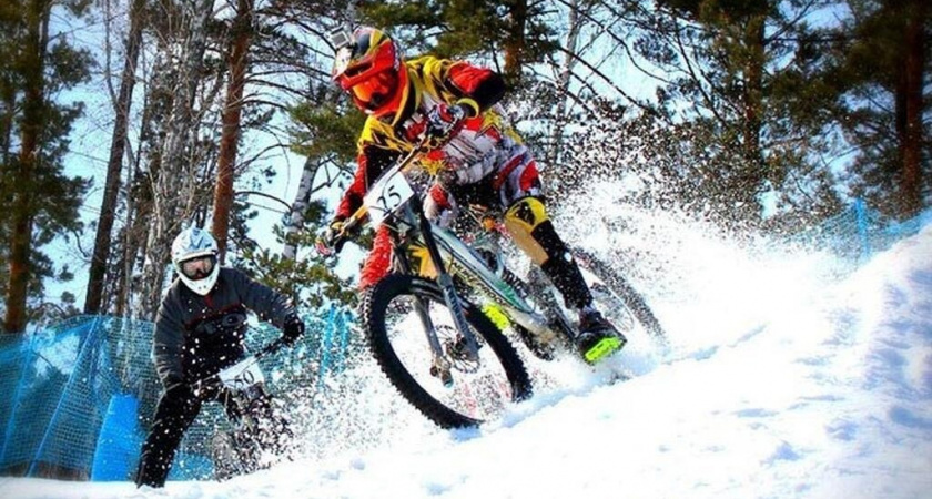    Фото: министерство спорта Владимирской области