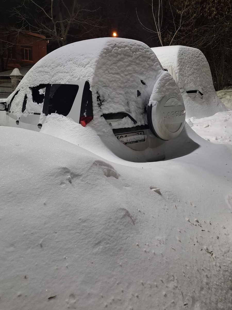 20 февраля 2026 года. Тула, ул. Ф. Энгельса. Фото автора.